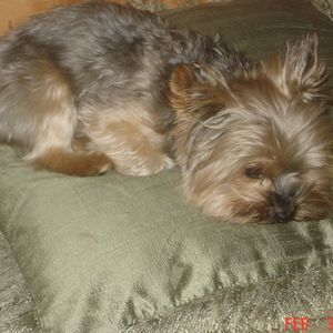 Meet your Posher, Melissa